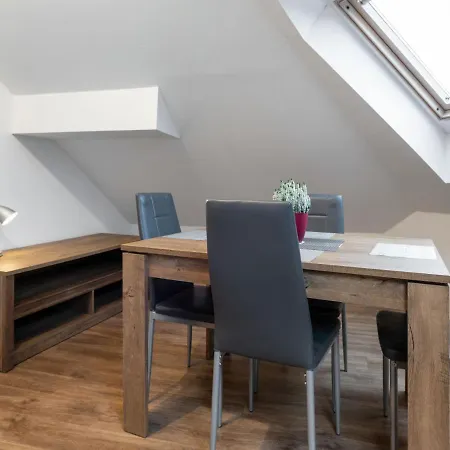 611-1 By Interhome Apartment Harrachov